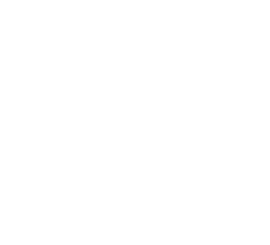 Northwood Insurance Agency - Logo Icon White